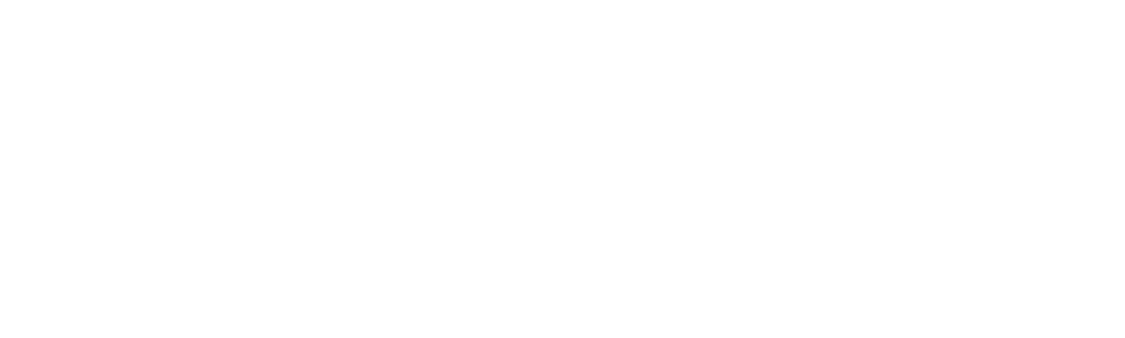 Digital Twin Logo
